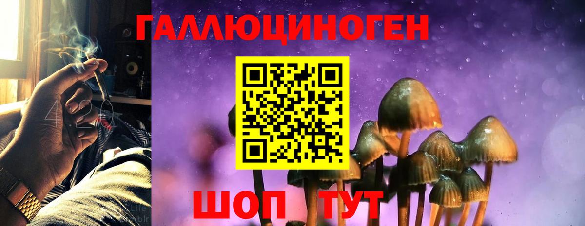 Касимов  Галлюциногенные грибы мицелий  Вход с VPN  Псилоцибиновые грибы ЛСД 
